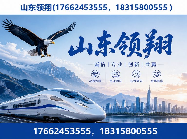 临沂山东领翔展示图